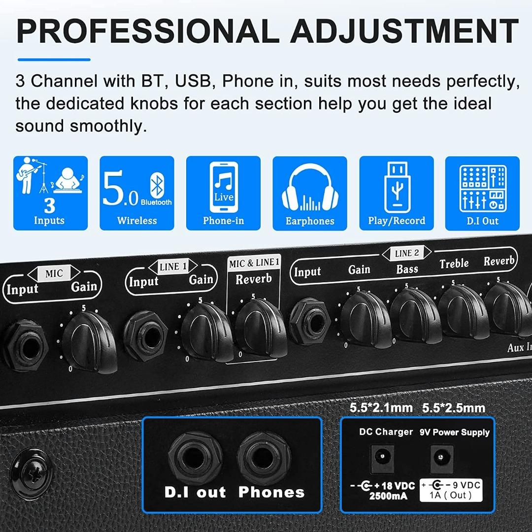 2008) Acoustic Guitar Amplifier, 40 Watt Portable Rechargeable Acoustic