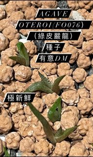 （分類：）位於 。 由 Matt514 提交（商品編號 1176175463，圖片 1）。簡介： 。