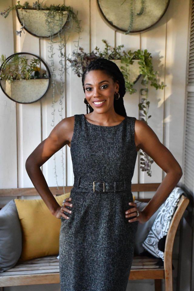 Banana republic sales tweed dress