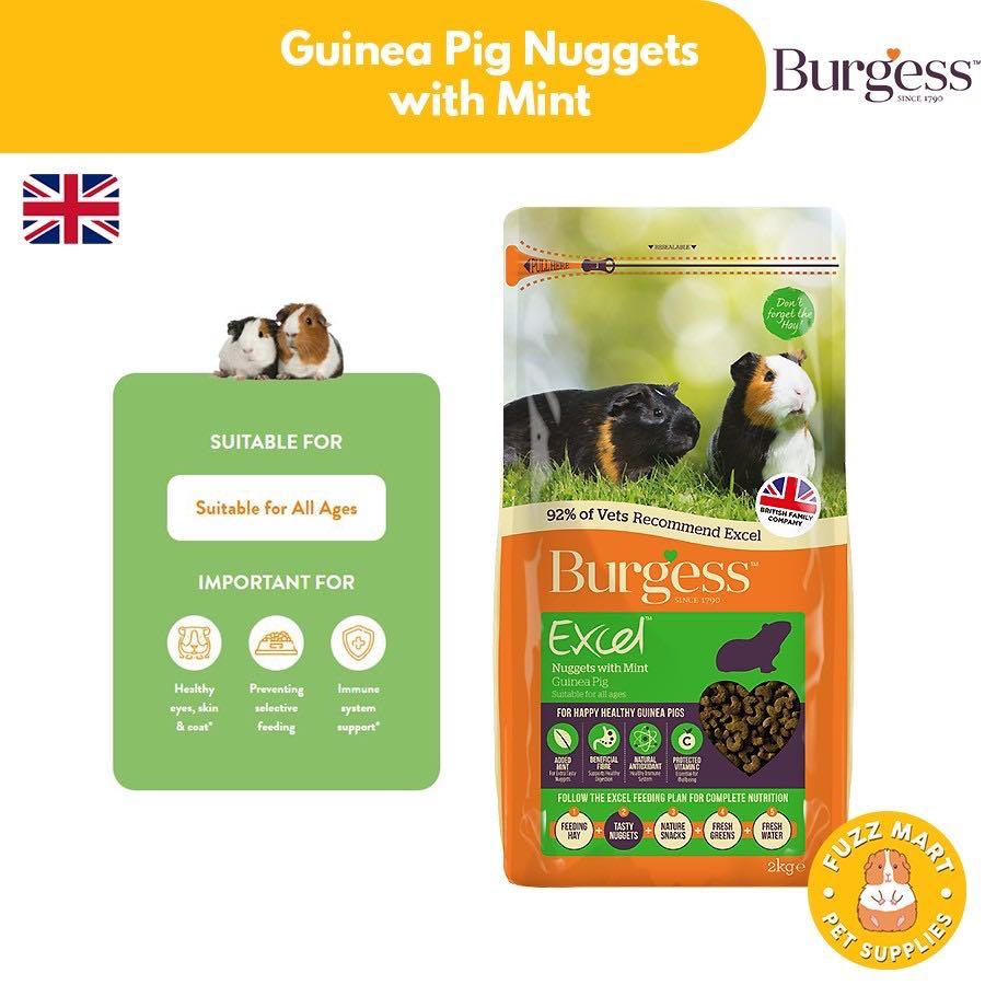 Burgess excel nuggets clearance with mint guinea pig