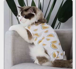 (Category: ) located in . Submitted by pocketgemsboutique (Listing ID 1176145639, Image 1). Description: .