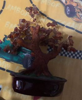 (Category: ) located in . Submitted by jenjenny21 (Listing ID 1176206405, Image 1). Description: .