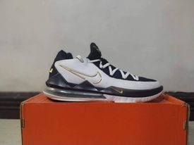 nike lbj 17 low
