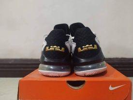 nike lbj 17 low