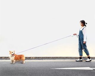 （分類：）位於 。 由 smallcomerhouse 提交（商品編號 1176079018，圖片 1）。簡介： 。