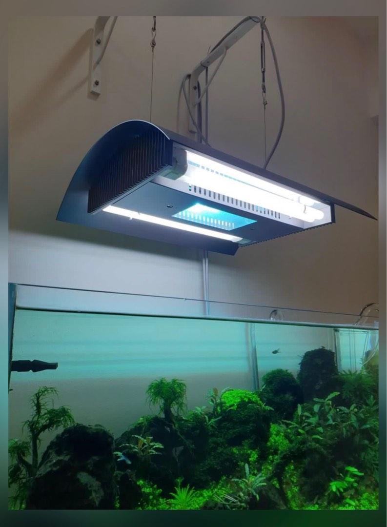 Ada grand solar 1 light, Pet Supplies, Homes & Other Pet 