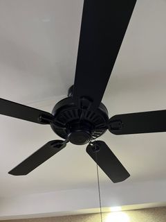 (Category: ) located in . Submitted by kavalkaur99 (Listing ID 1179569235, Image 1). Description: .