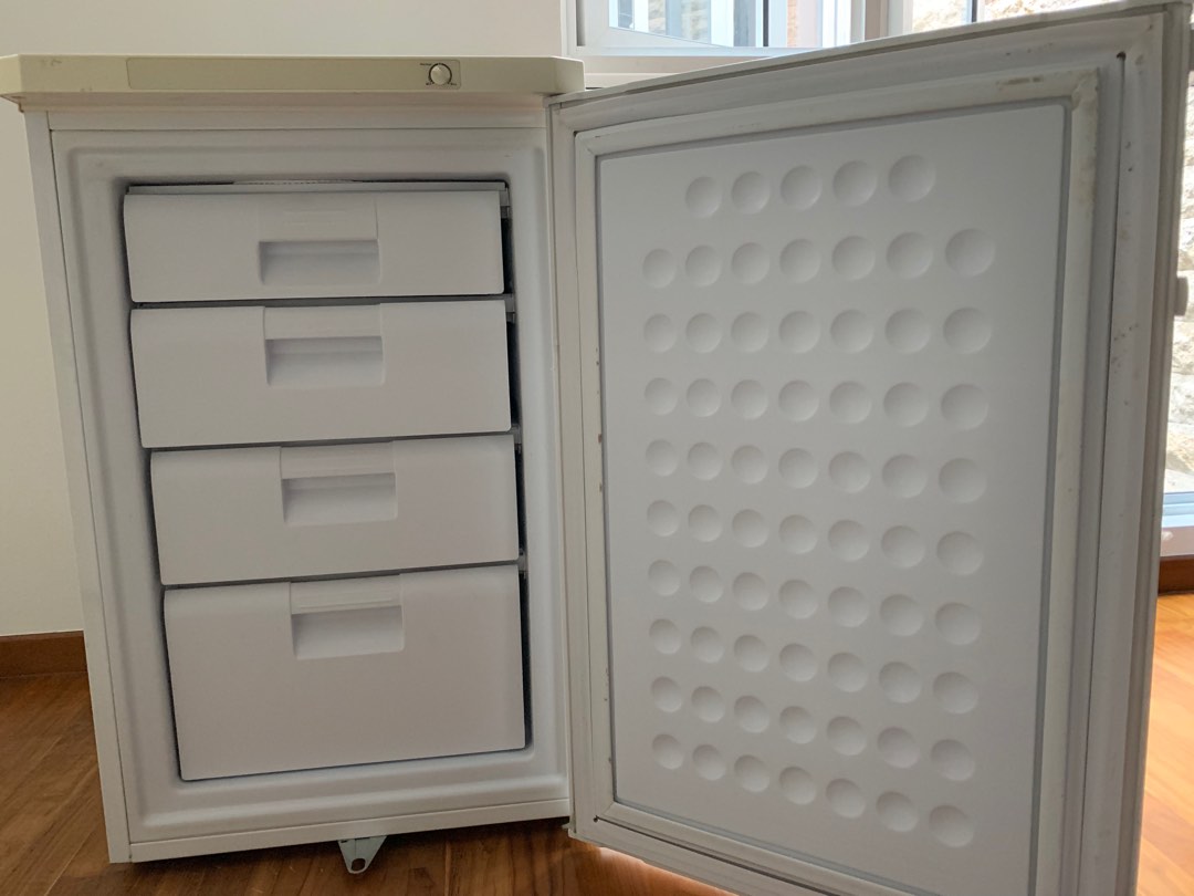 Farfalla upright freezer for breastmilk, Babies & Kids, Nursing