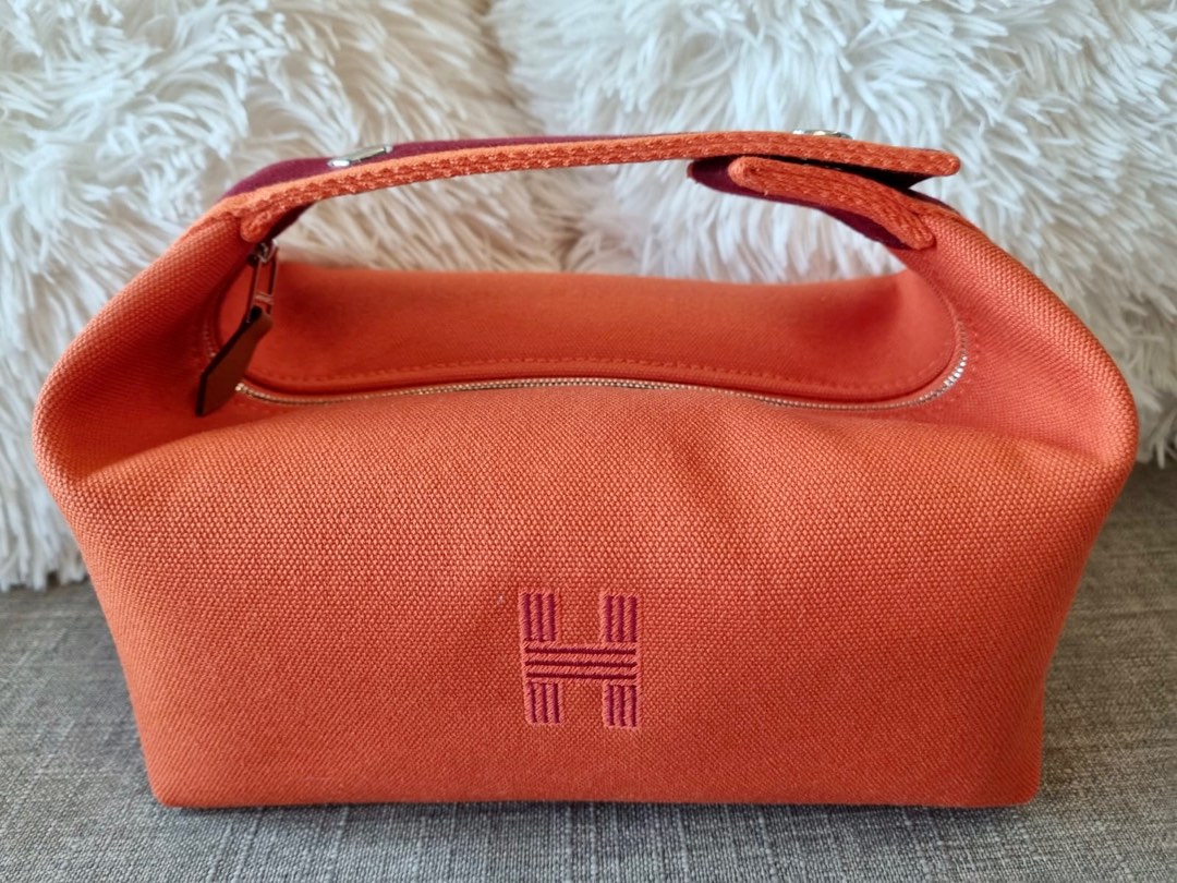 hermès bride a brac case