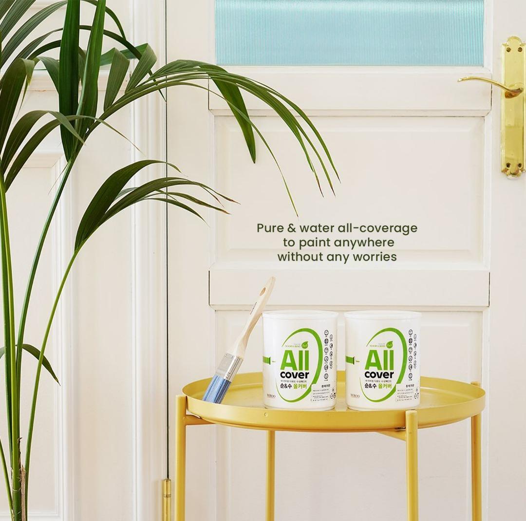 No.1 Korea Paint Noroo Wall Paint / Furniture Paint / DIY Paint / Korean Wallpaper / Door Paint