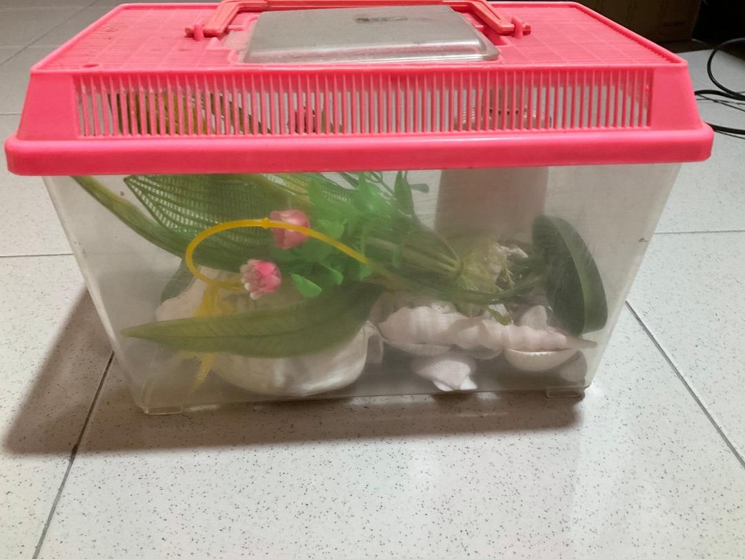 Plastic tub fish tank hotsell