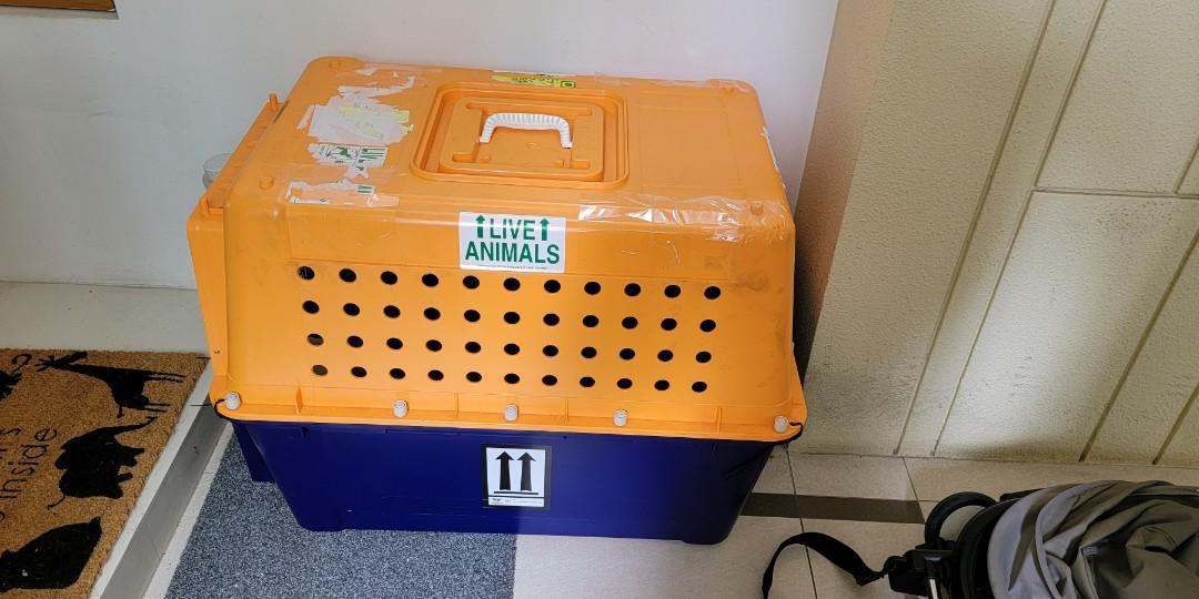 TSA compliant travel carrier for medium sized dog, Pet Supplies, Homes