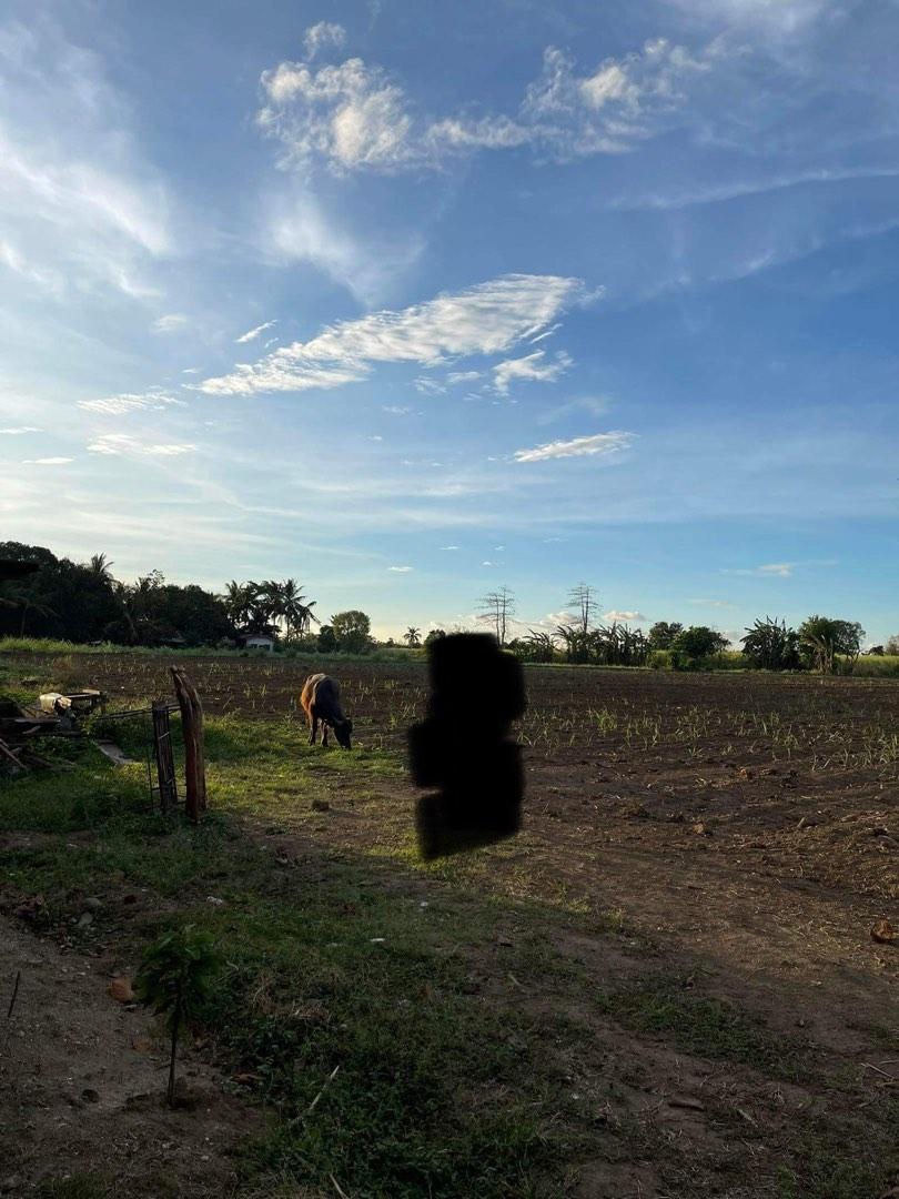 10000 square meter in Balayan Batangas near bayan, Property, For Sale