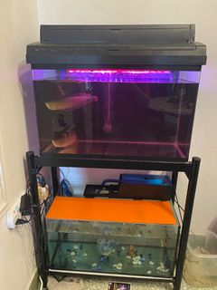 (Category: ) located in . Submitted by dl0v3u (Listing ID 1179943390, Image 1). Description: .