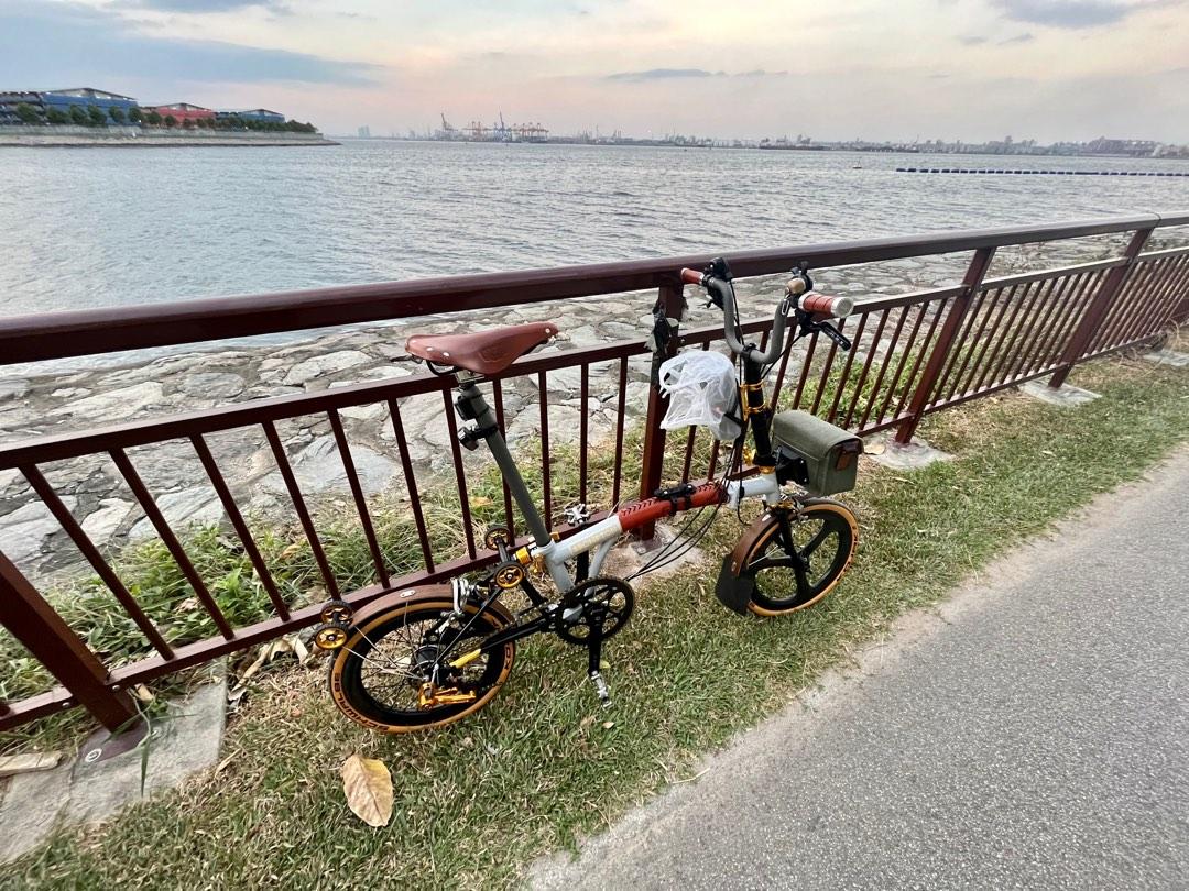 Brompton best sale wooden fenders