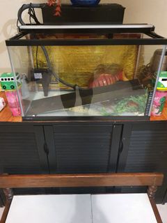 (Category: ) located in . Submitted by wanzah (Listing ID 1179973346, Image 1). Description: .