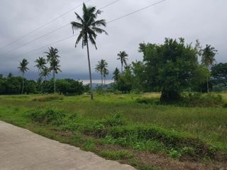 For Sale Farm Lot near The Beach in Puerto Princesa Palawan with Clean Title