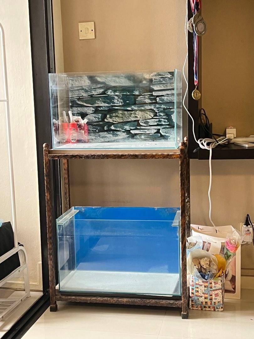 Glass Fish Tank and Rack, Pet Supplies, Homes & Other Pet Accessories