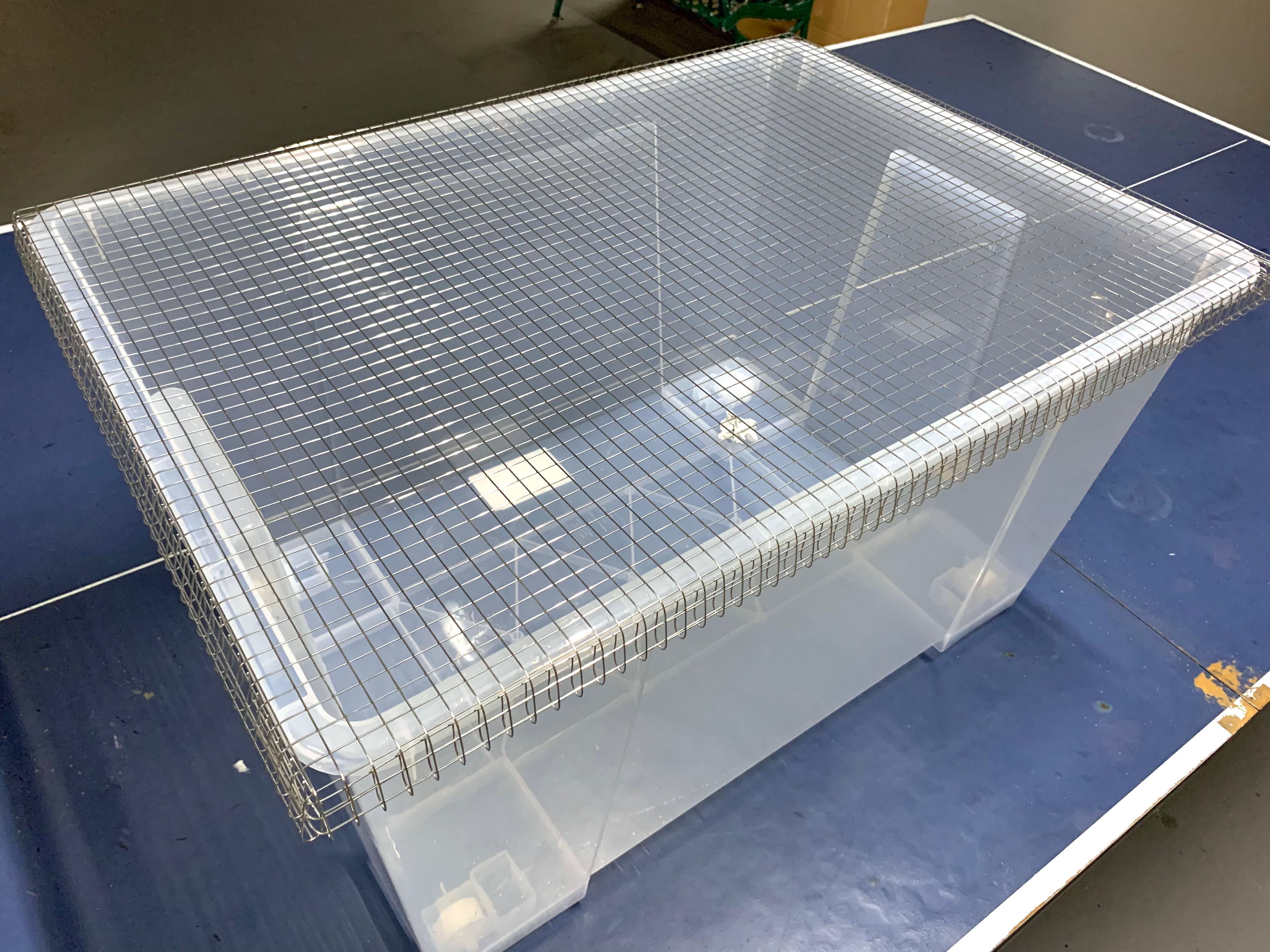 Hamster mesh cheap