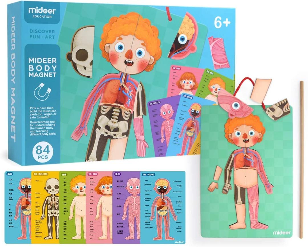 Mideer Human Body Model Puzzle for Kids, 90 Puzzles Human