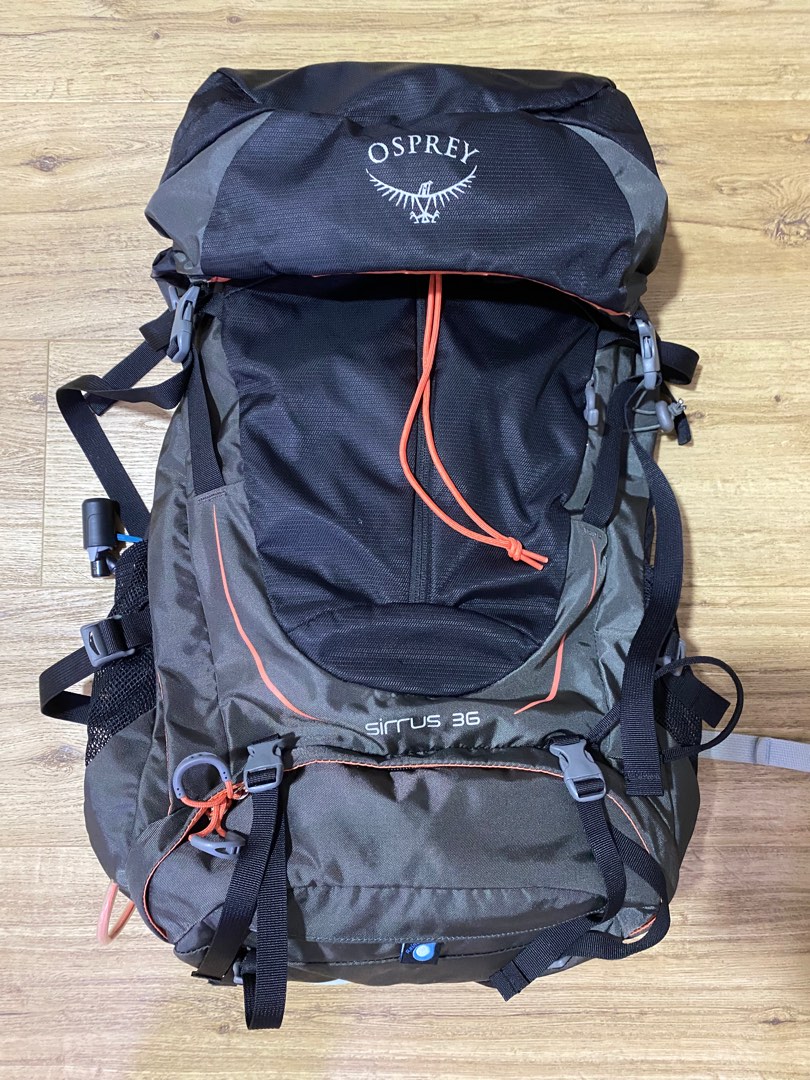 Sirrus 36 review clearance