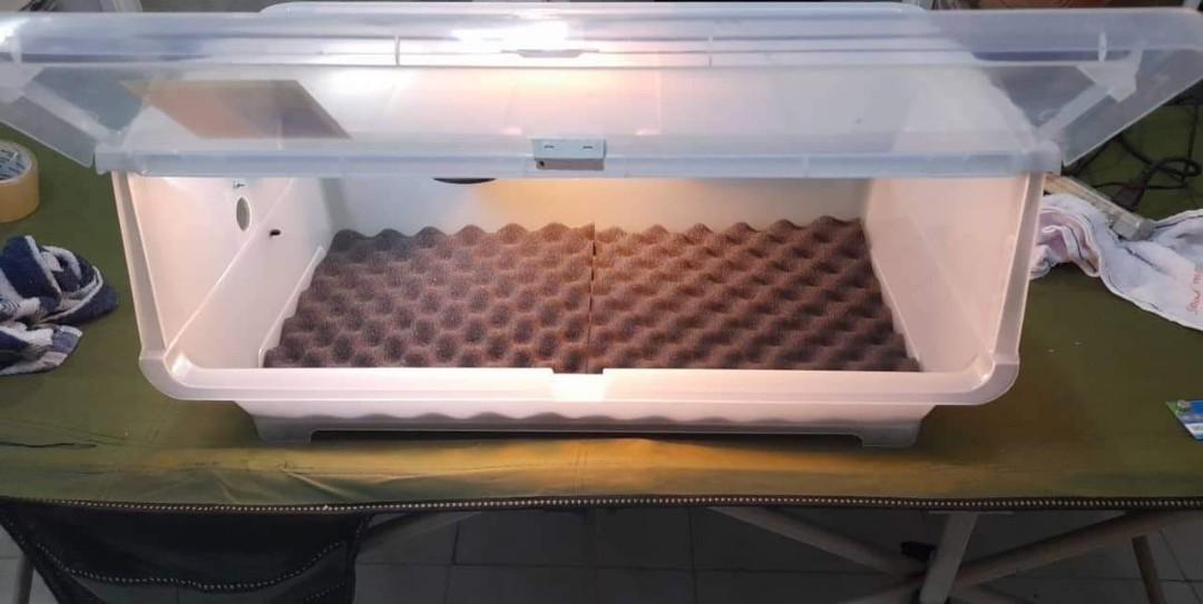 PUPPY INCUBATOR, Pet Supplies, Homes & Other Pet Accessories on Carousell