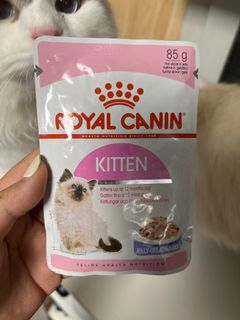 （分類：）位於 。 由 gardenfill 提交（商品編號 1180071262，圖片 1）。簡介： 。