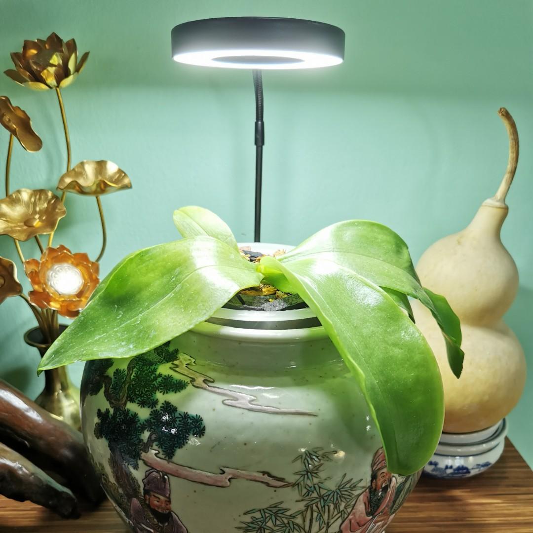 White light stand for aquariums or plants (USB), Furniture & Home