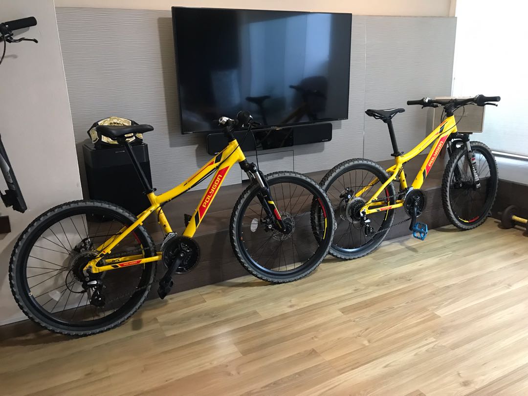 Youth mountain bike 24 inch polygon relic Evo 2 sets to let go cheap