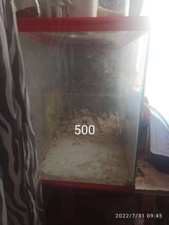 (Category: ) located in . Submitted by bklhet-45113 (Listing ID 1180115753, Image 1). Description: .
