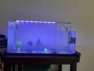 (Category: ) located in . Submitted by igkrg (Listing ID 1180187860, Image 1). Description: .