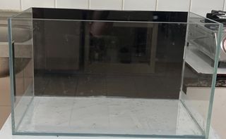 (Category: ) located in . Submitted by jhiyan (Listing ID 1180172056, Image 1). Description: .