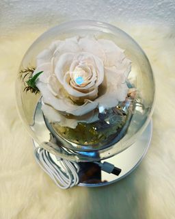 （分類：）位於 。 由 Y_florist 提交（商品編號 1180157345，圖片 1）。簡介： 。