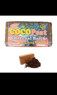 Cocopeat Brick Expandable