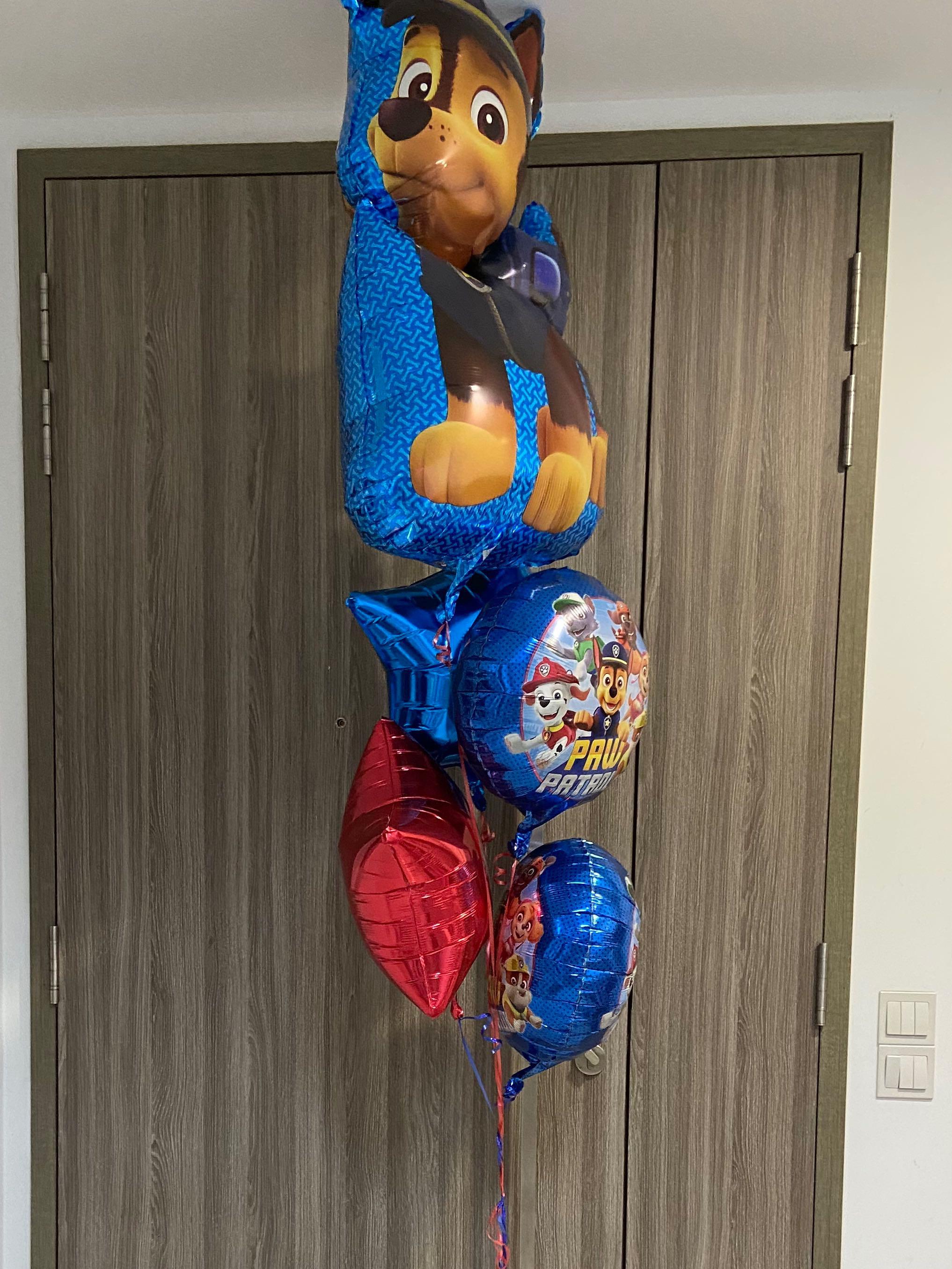Deflated balloon Paw Patrol Helium Balloon Birthday party (1 big Balloon, 4  small Balloon), Hobbies & Toys, Stationery & Craft, Occasions & Party  Supplies on Carousell
