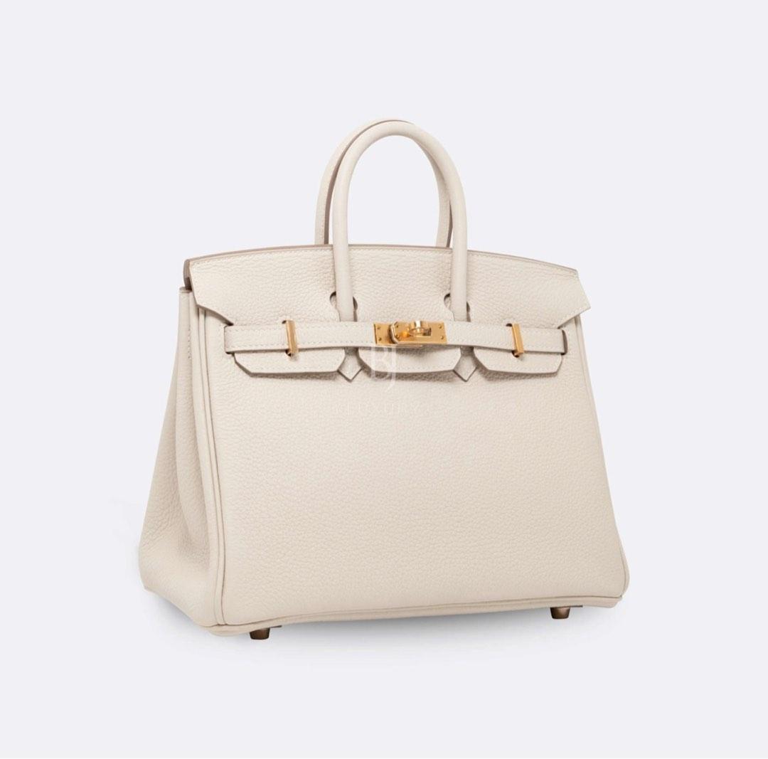 Hermes Birkin 25, Luxury, Bags & Wallets on Carousell