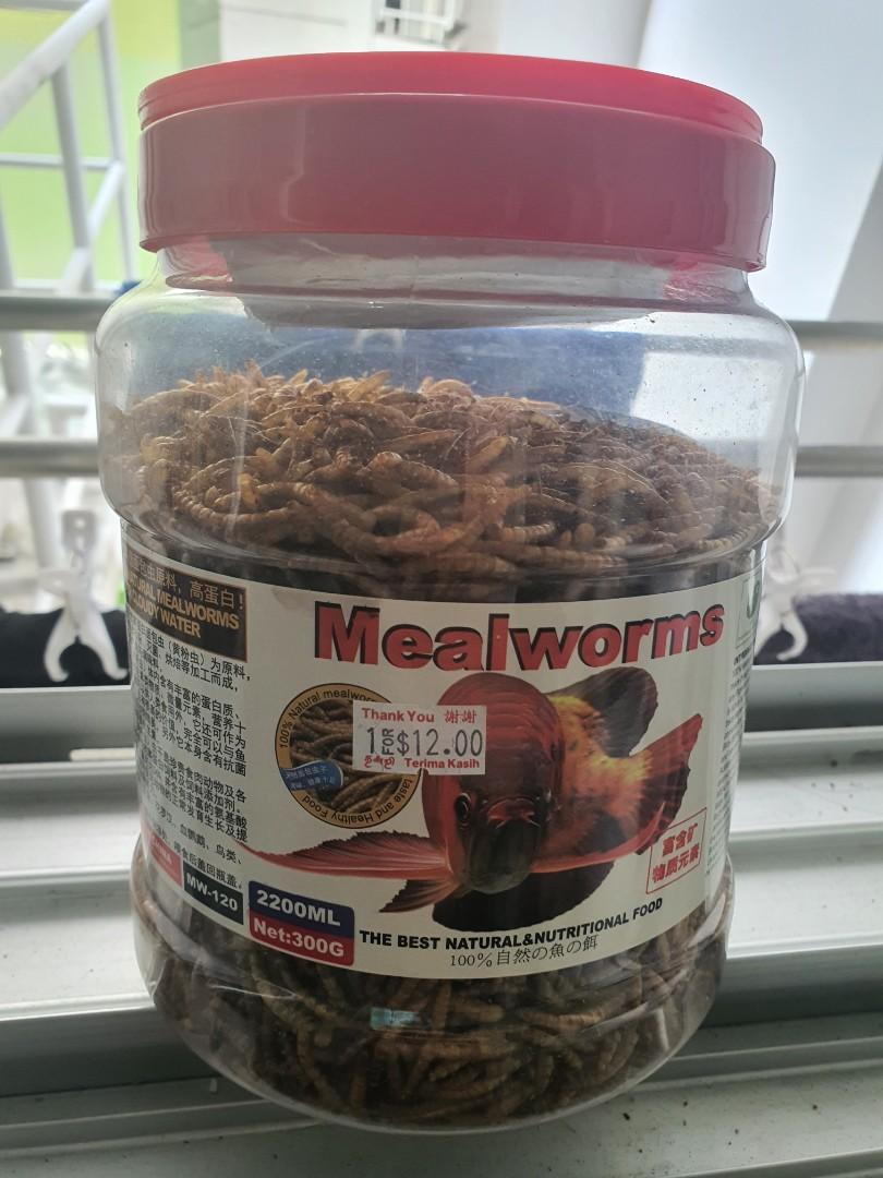 Mealworm 300g, Pet Supplies, Pet Food on Carousell