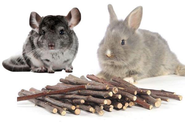 Chinchilla chew sticks sales