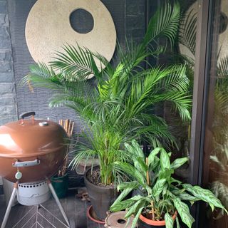 (Category: ) located in . Submitted by kiaramitchell (Listing ID 1180126253, Image 1). Description: .