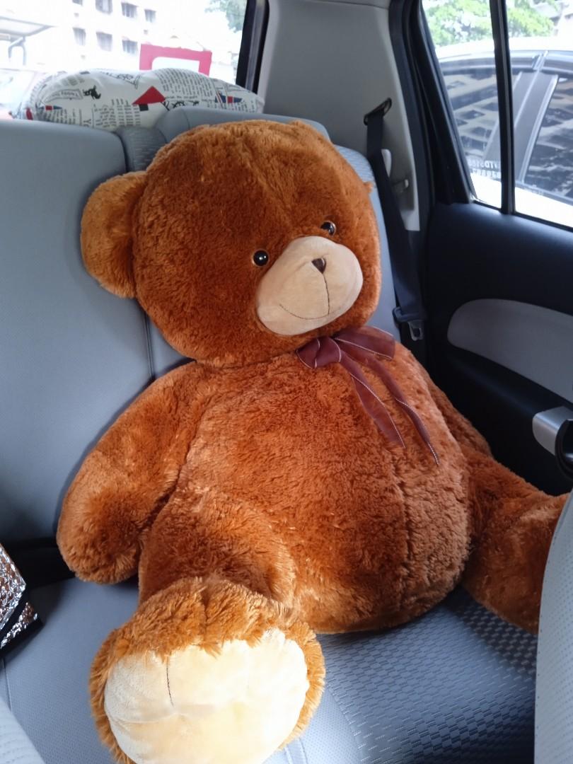 Teddy on sale bear comel