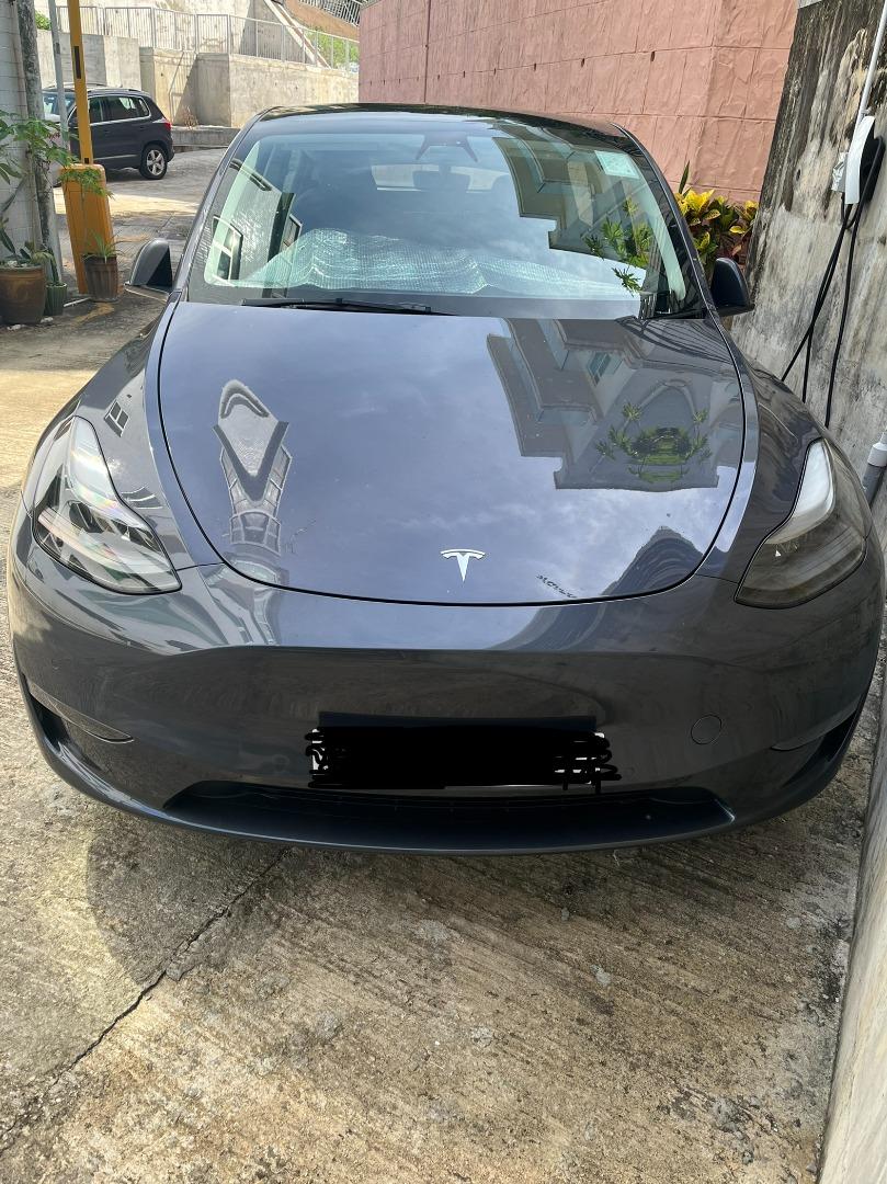 Tesla Model Y Standard Range Auto, 車 , 車輛放售 Carousell