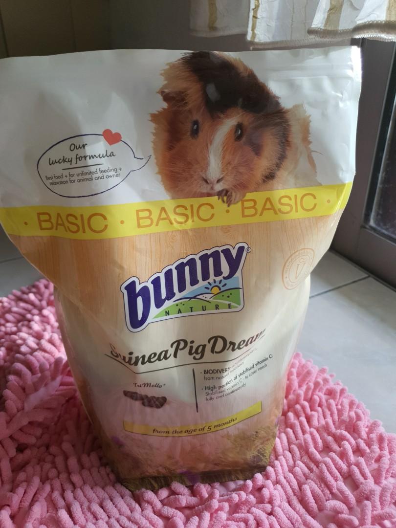 Bunny guinea pig dream hot sale basic