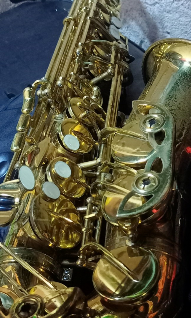 Parrot saxophone outlet price