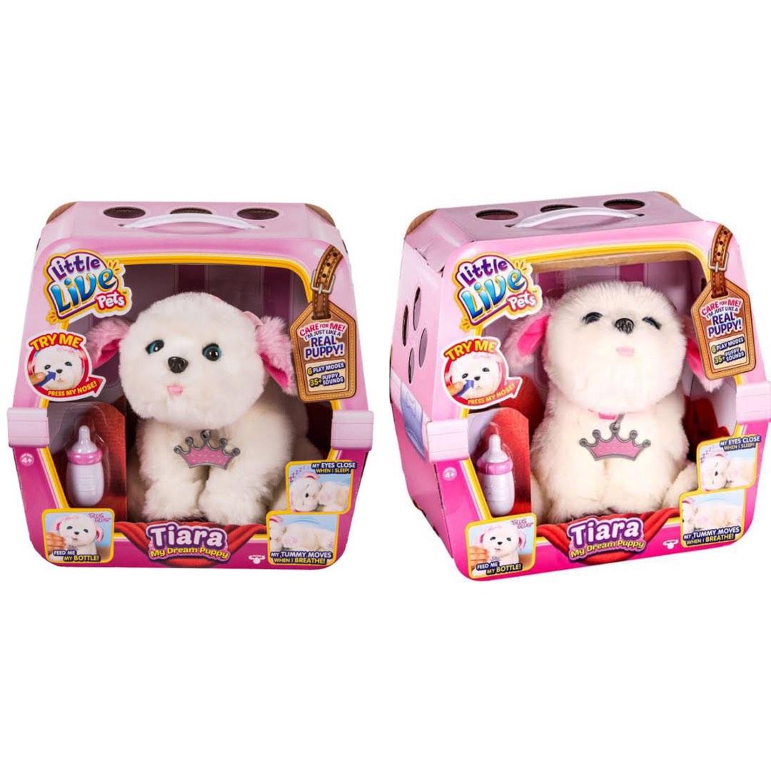 Tiara sleepy puppy little live pets clearance