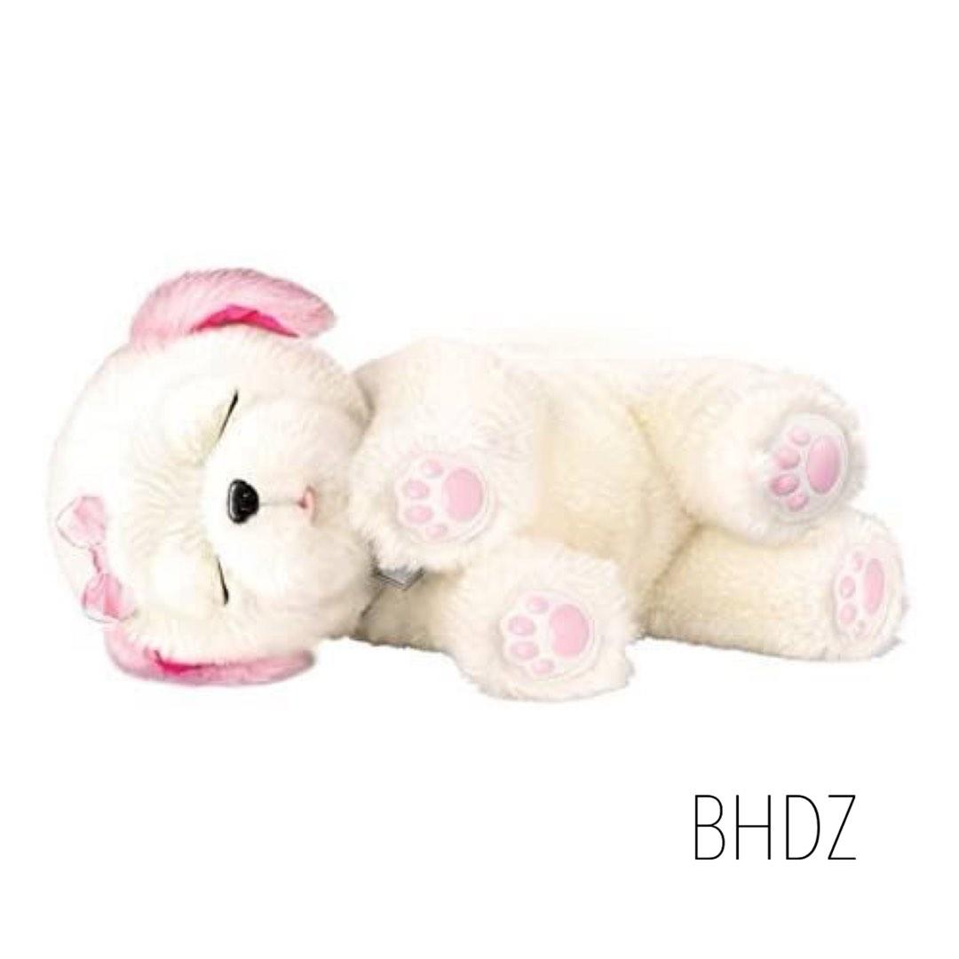 Tiara my dream online puppy