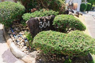 AYALA ALABANG HOUSE AND LOT