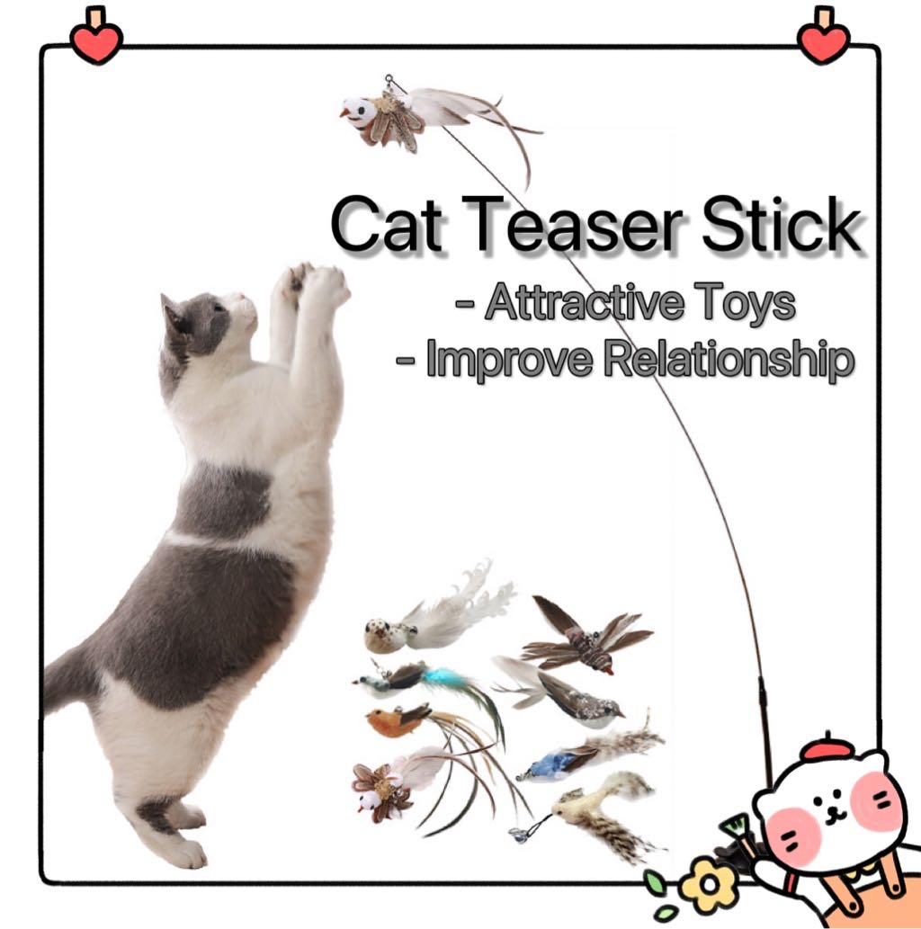 Cat Teaser Toy Mouse Feather Fish Pet Toy (Free Coconut Water), Pet
