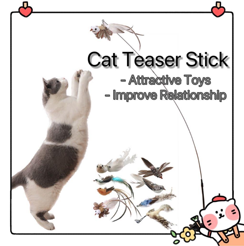 Cat Teaser Toy Mouse Feather Fish Pet Toy (Free Coconut Water), Pet