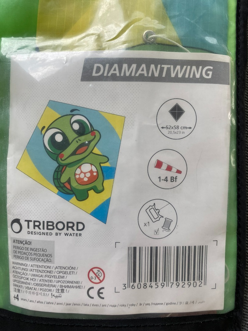 Decathlon kite turtle, Sports Equipment, Sports & Games, Kites on Carousell