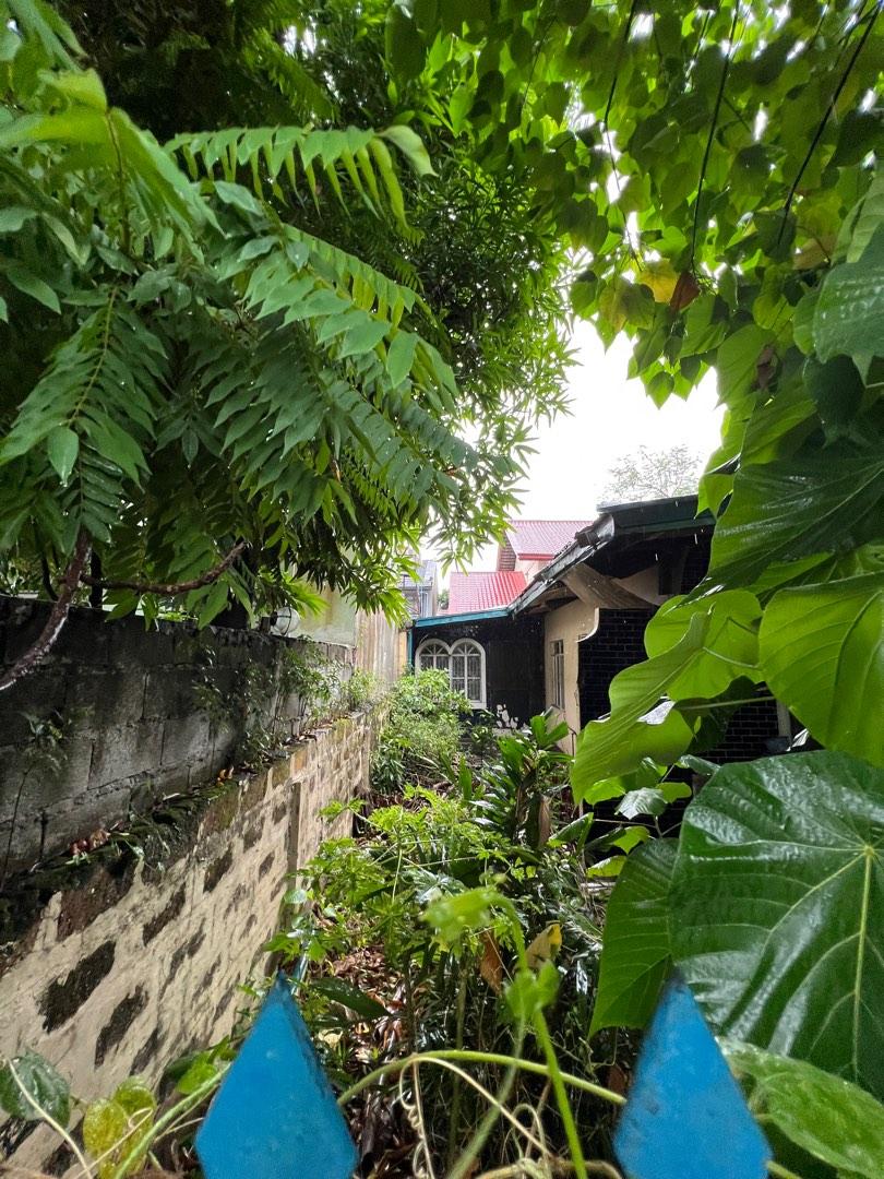 Old House & Lot for Sale in Riverside Village Pasig City, Property, For